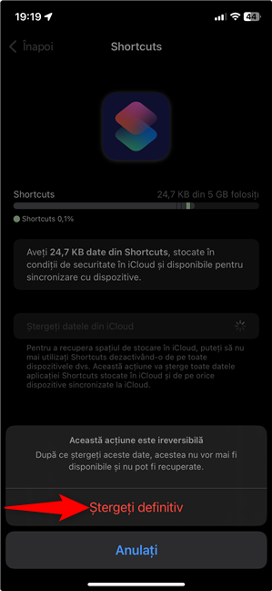ApasÄ pe ÈtergeÈi definitiv pentru a elimina datele aplicaÈiei din iCloud