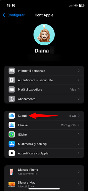 ApasÄ pe iCloud