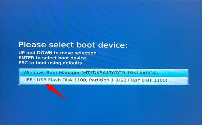 Alege sÄ porneÈti de pe o unitate USB în meniul de boot