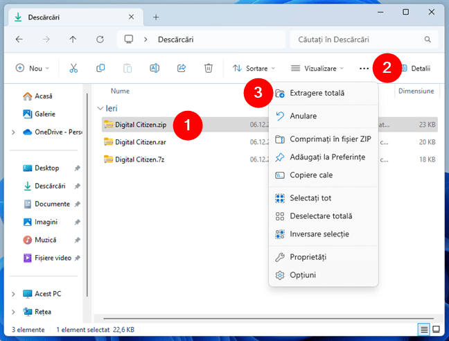 Cum extragi fiÈ™iere Ã®n Windows 11 folosind File Explorer