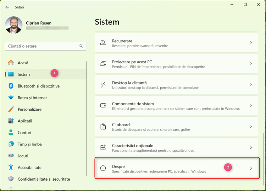 AcceseazÄ SetÄri > Sistem > Despre