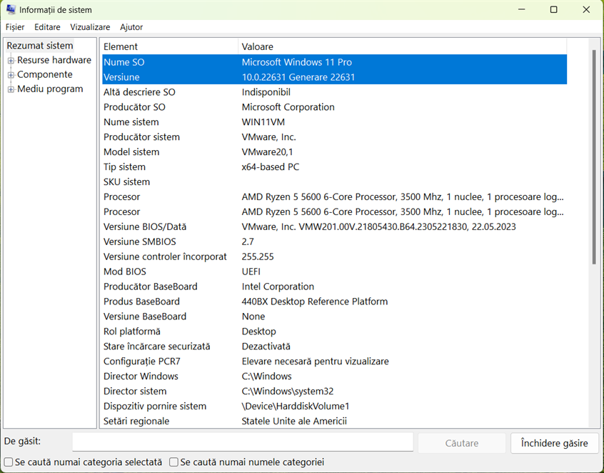 InformaÈii de sistem aratÄ ediÈia, numÄrul versiunii Èi compilarea de Windows 11