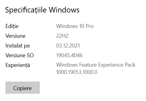 Versiune SO sau build pentru Windows 10 versiunea 22H2