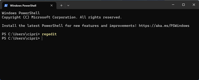 Comanda regedit &Atilde;&reg;n Windows Terminal