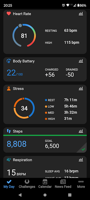 O parte din statisticile de sÄƒnÄƒtate afiÈ™ate de Garmin Connect