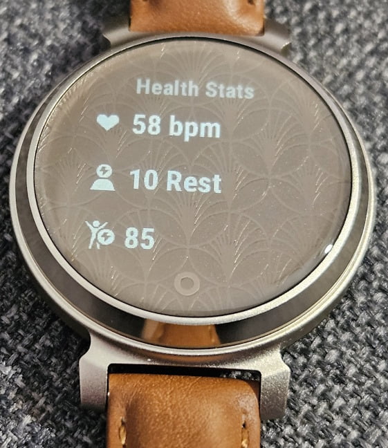 Statistici de sÄnÄtate afiÈate pe Garmin Lily 2 Classic