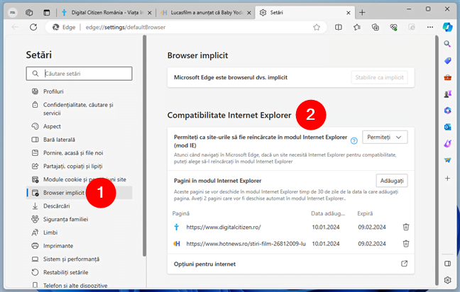 Compatibilitate Internet Explorer
