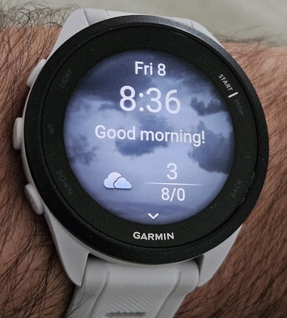 IatÄ Morning Report