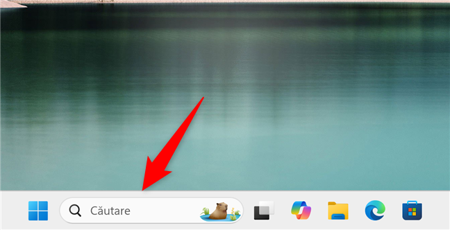 Caseta de cÄutare din bara de activitÄÈi în Windows 11