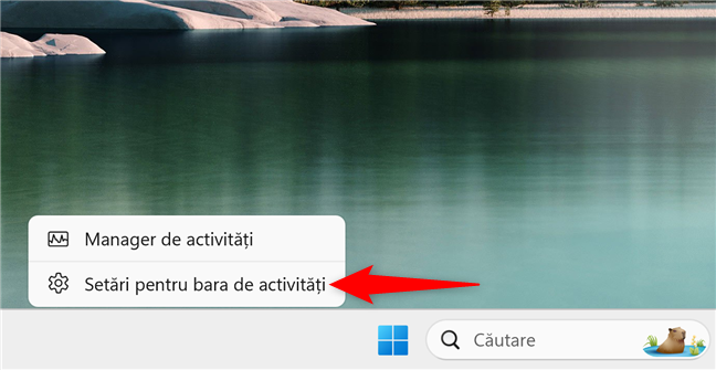 Cum deschizi SetÄri pentru bara de activitÄÈi în Windows 11
