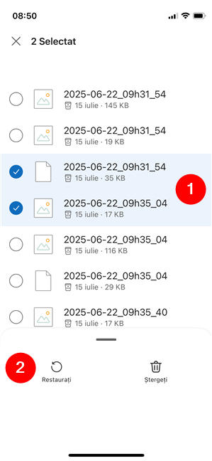 RecupereazÄ fiÈiere Èterse din aplicaÈia OneDrive pentru iPhone