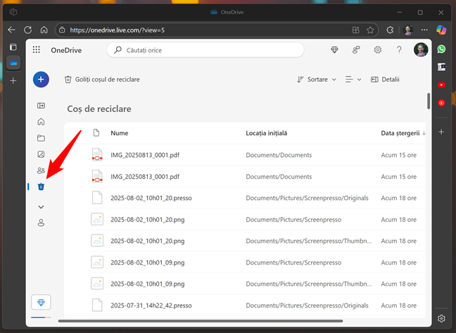 LocaÈia CoÈului de reciclare din OneDrive