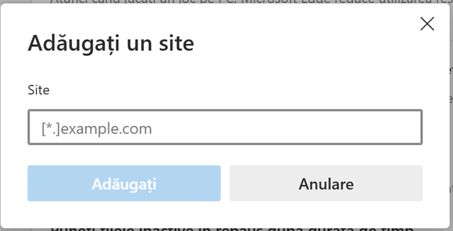 Introdu adresa URL a site-ului pe care vrei sÄ Ã®l excluzi din Modul de eficienÈÄ