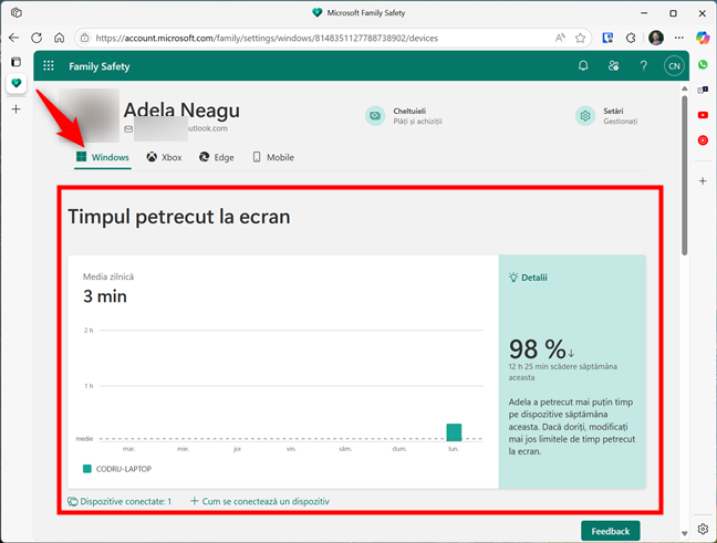 AcceseazÄƒ Timpul petrecut la ecran Ã®n rubrica Windows