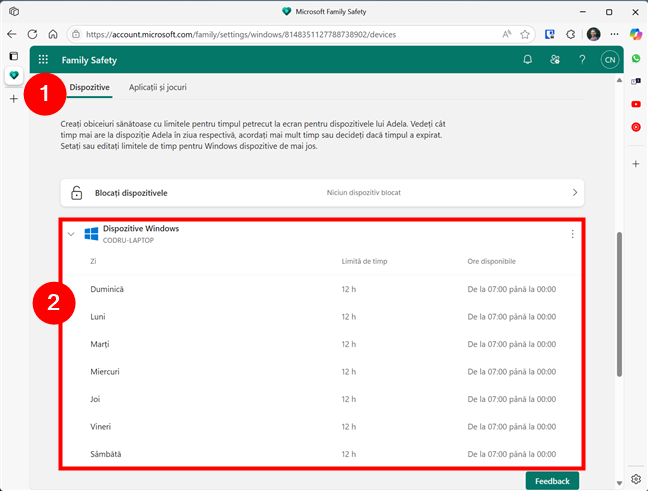 Limitele de timp ale dispozitivelor cu Windows