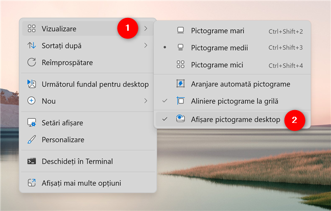 AfiÈare pictograme desktop în Windows 11