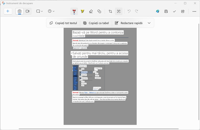 OpÈiunile pentru lucrul cu textul identificat în pozÄ