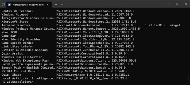 Lista cu aplicaÈiile instalate în Windows