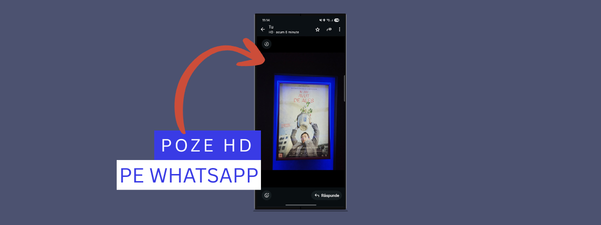 Setează WhatsApp să trimită poze și clipuri video HD, la calitate mare