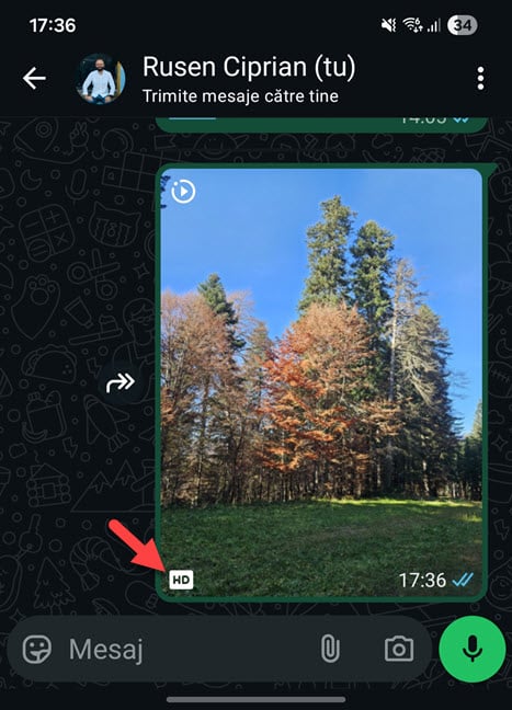 Bucur&Auml;-te de fotografii &Atilde;&reg;n format HD, pe WhatsApp