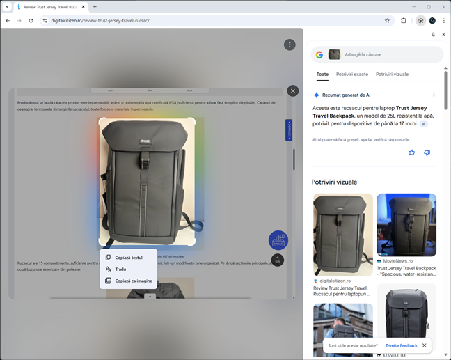 Panoul Google Lens din partea dreapt&Auml;