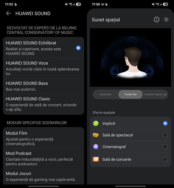 Ai la dispozi&Egrave;ie multe profile pentru redarea sunetului