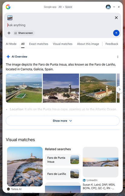 Rezultatele oferite de Google Lens