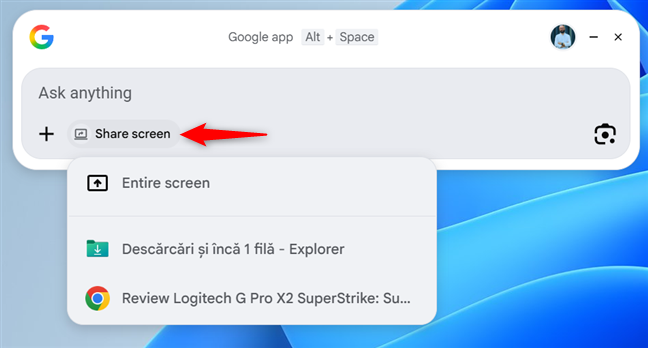 Partajeaz&Auml; ecranul sau doar o aplica&Egrave;ie