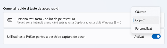 PersonalizeazÄ tasta Copilot de pe tastaturÄ