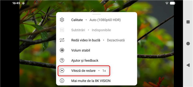 Apas&Auml; pe Vitez&Auml; de redare
