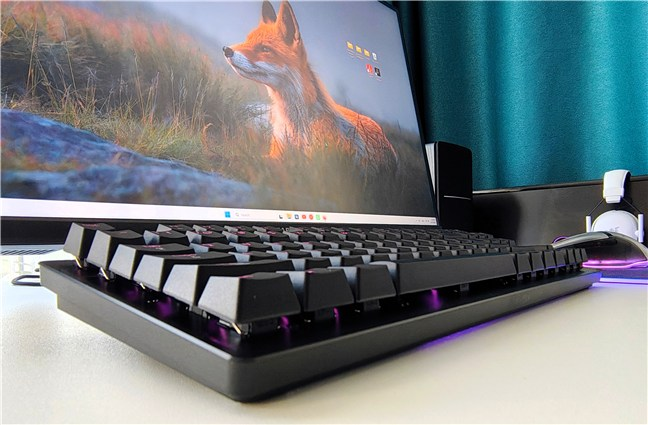 Tastatura se conecteazÄ prin cablu USB-C Èi nu include suport pentru încheieturi