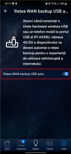 ActiveazÄƒ ReÈ›ea WAN backup USB auto