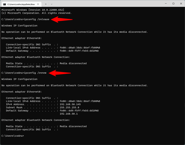 Rularea comenzilor ipconfig Ã®n CMD pentru a reseta adresa IP