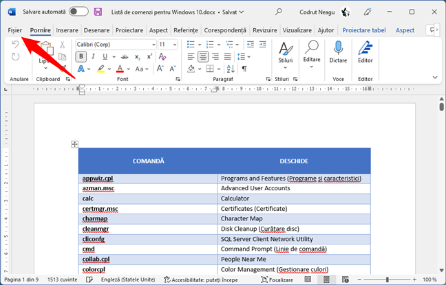 Meniul FiÈ™ier din Microsoft Word