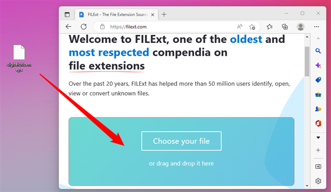 Folosirea site-ului FILExt ca deschizător de fișiere necunoscut