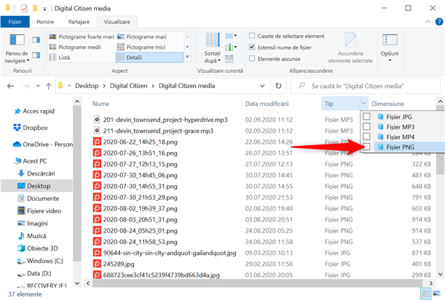 FiltreazÄƒ un folder sÄƒ afiÈ™eze numai fiÈ™ierele PNG