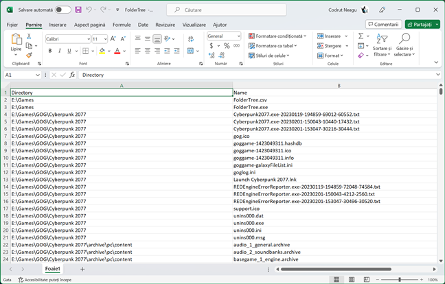 Structura de directoare exportatÄƒ Ã®n Excel