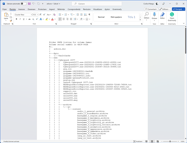 Structura de foldere dintr-un fiÈ™ier document