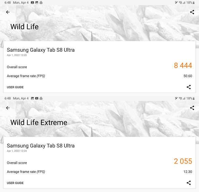Rezultatele testelor din 3DMark Wild Life È™i Wild Life Extreme