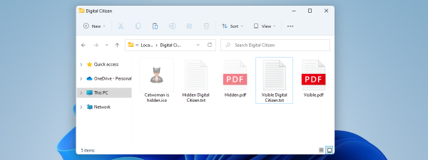 Cum vezi toate fișierele ascunse de pe un calculator cu Windows