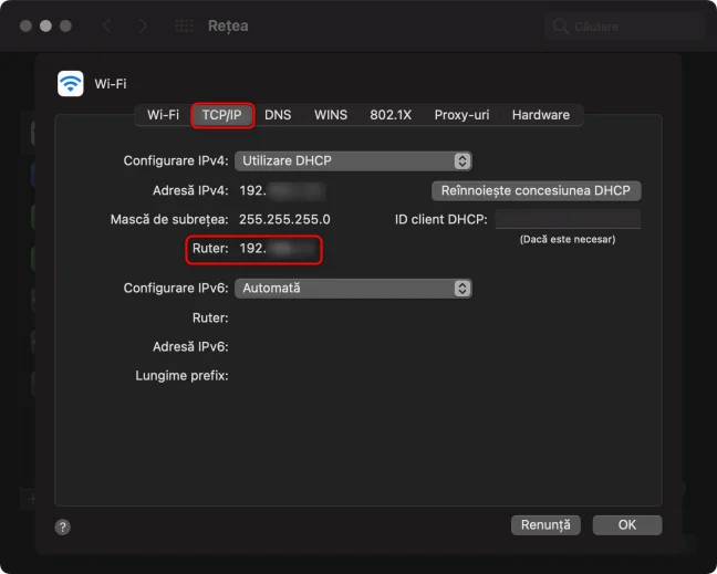 Vezi câmpul Ruter în fila TCP/IP
