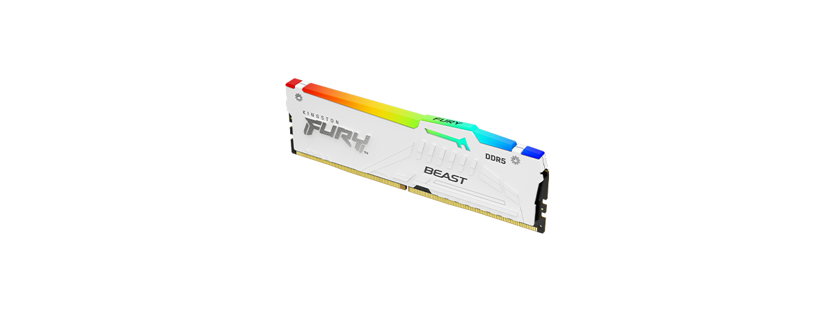 Kingston Fury Beast RGB DDR5-6000 White