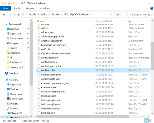 Locația cookie-urilor din Firefox în Windows 10