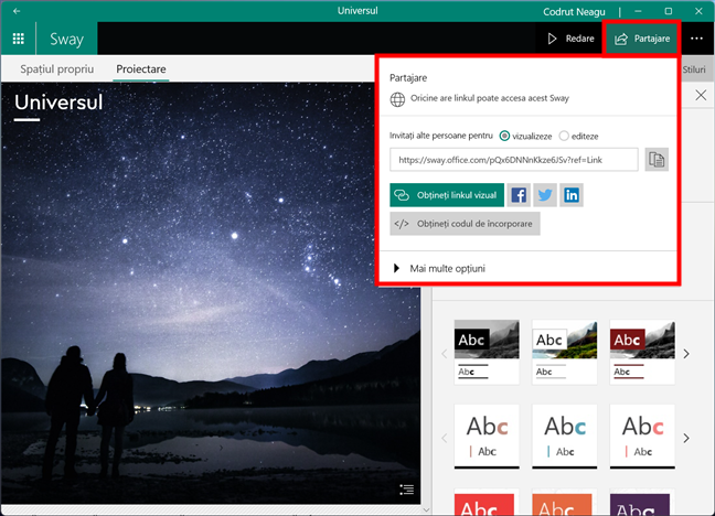PartajeazÄ un Sway