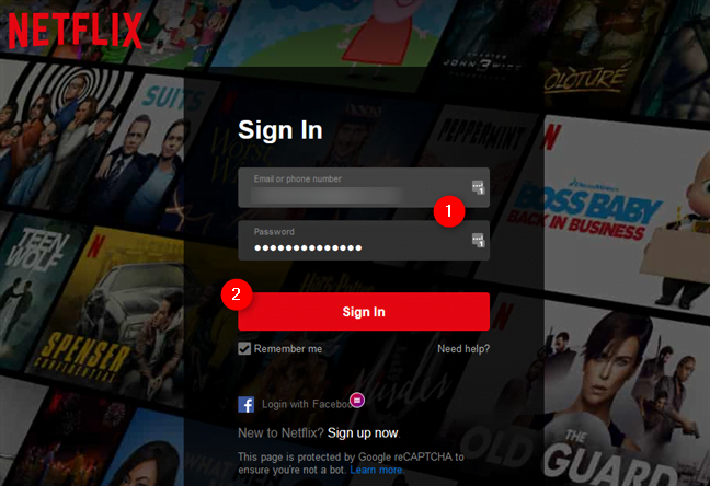 Introducerea datelor de conectare la Netflix