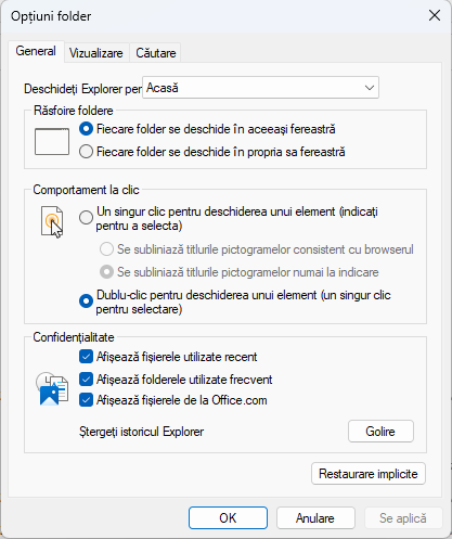 Opțiuni folder în Windows 11
