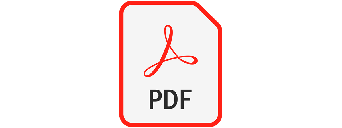 Fisier PDF