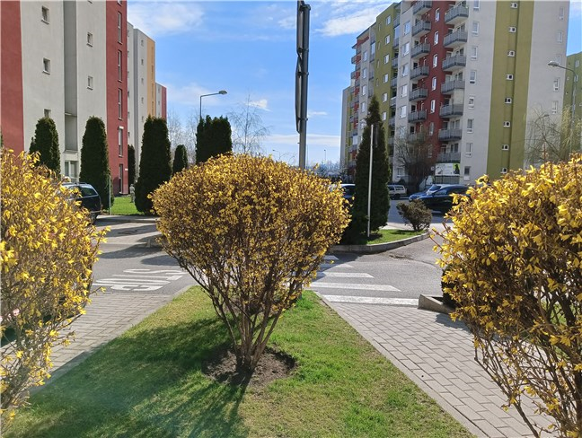 Ãn fotografiile în aer liber, este vizibil un contrast excesiv