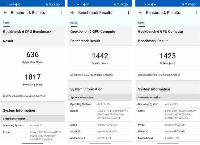 Rezultate în Geekbench 6