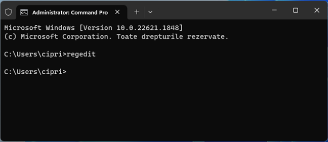 RuleazÄƒ regedit Ã®n CMD, PowerShell sau Windows Terminal